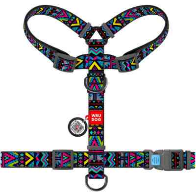 Шлея для собак WAUDOG Nylon з QR паспортом анатомічна H-подібна "Інді" S (5595) Вінниця