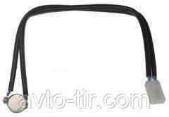 ДАТЧИК ПОЛУМЯ ОБІГРІВАЧА АВТОНОМНОГО EBERSPACHER  24V 251895993500 1318069 Луцк