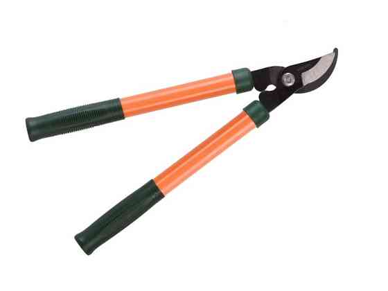 Гілкоріз Sturm 3015-01-01 (зчитувати опис) Рівне