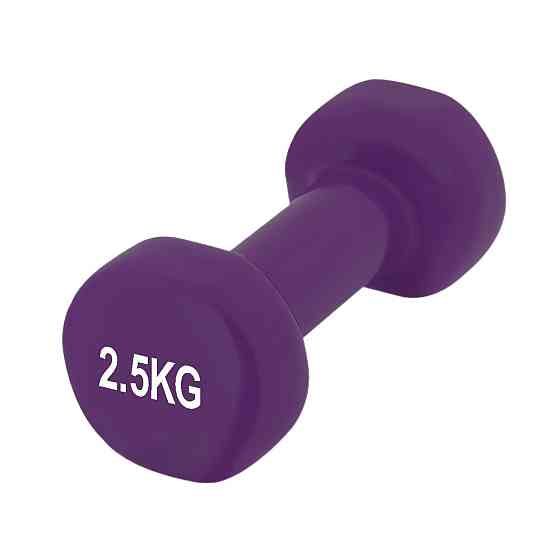 Гантель вінілова PowerPlay 4125 Achilles 2.5 кг. Фіолетова (1шт.) Кам'янське