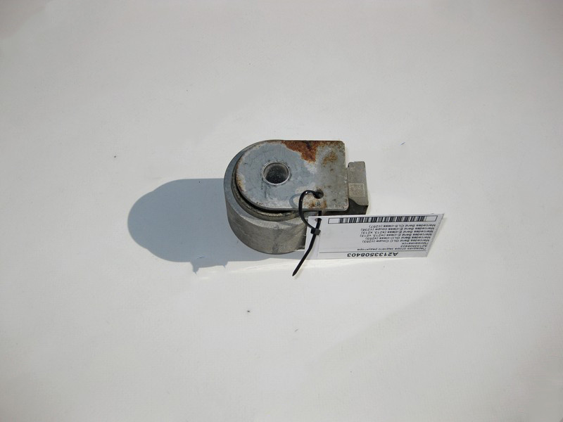 Mercedes-Benz  A2133508403 Передня опора заднього редуктора E-Class W213 C238 GLC C253 X253 CLS C257 Одеса - фото 2