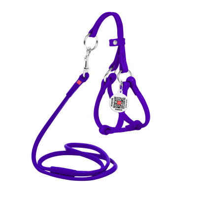 Шлея для собак WAUDOG Glamour з повідцем кругла Д 6 мм А 42-60 см В 46-64 см фіолетова (34029) Вінниця - фото 1
