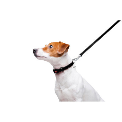 Повідок для собак WAUDOG Glamour шкіряний XS чорний (33721) Вінниця - фото 5