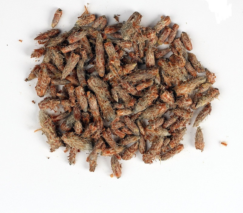 Бруньки сосни (Почки сосны) 100г master sem Киев - изображение 1