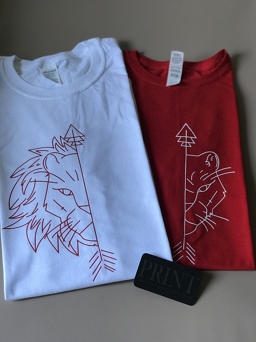 Парные футболки для парня и девушки ЛЕВ и ЛЬВИЦА синий, XS, XL Черновцы - изображение 1