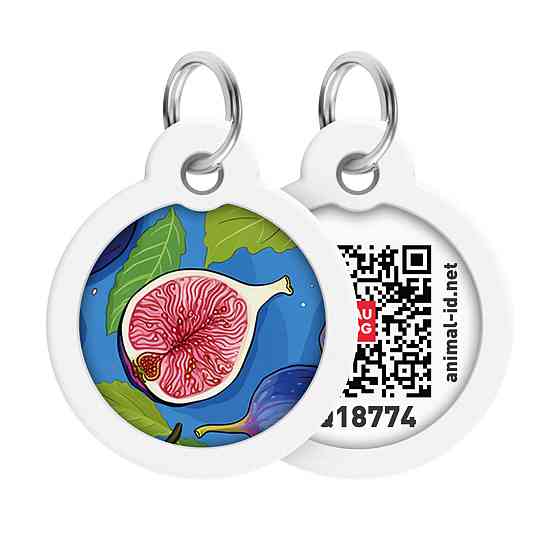 Адресник для собак и кошек металлический WAUDOG Smart ID с QR паспортом, рисунок 