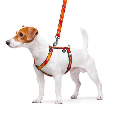 Шлея для собак WAUDOG Nylon H-подібна з QR-паспортом "Флеш Лого", світловідбивна L (345-1083) Вінниця - фото 4