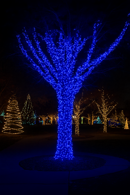 Гірлянда Різдвяна фея вулична 100 м 1000 LED білий провід Синій CF1000L100MWBL Коломыя - изображение 9