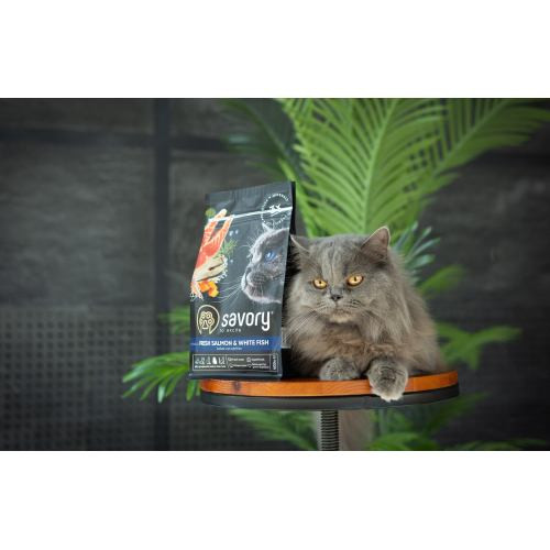 Корм сухой Savory Adult Cat Gourmand Fresh Salmon and White Fish для взрослых кошек со свежим лососем и белой рыбой 400 г Киев - изображение 4