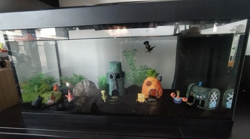 Декор для акваріума Будинок Губки Боба з мультфильма акваріумний пейзаж 11,5 на 8,5 на 8,5 см помаранчевий смола акваріумний декор Київ - фото 8