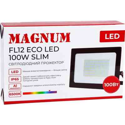 Прожектор MAGNUM FL12 ECO LED 100Вт slim 6500К IP65 (90018087) Винница