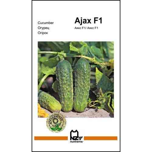 Семена огурца Аякс F1 20 сем., Nunhems, Голландия Винница