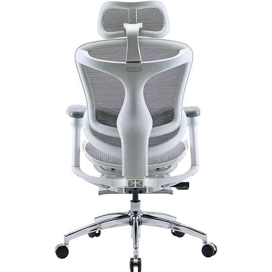 Кресло офисное Sihoo Doro C300L Mesh White with footrest (Doro-C300L-A3-102-JT) ( 14112 ) Харьков