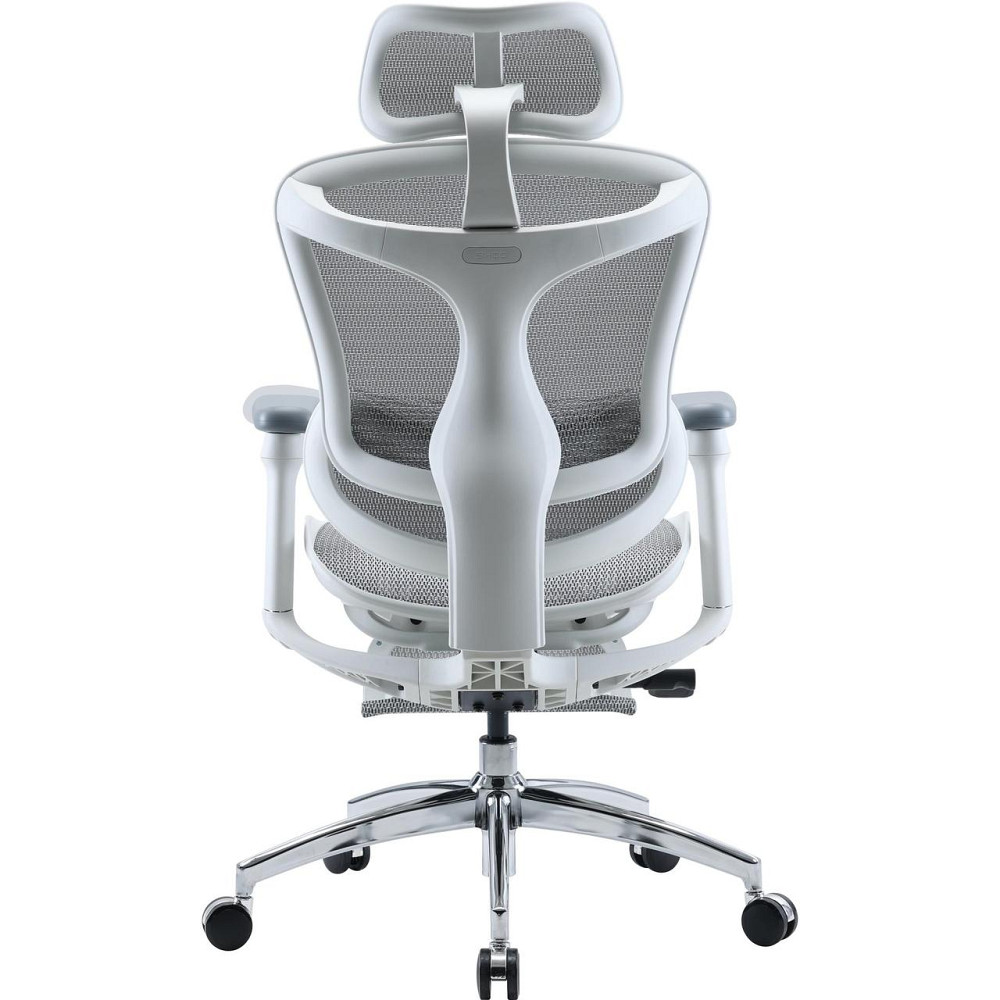 Кресло офисное Sihoo Doro C300L Mesh White with footrest (Doro-C300L-A3-102-JT) ( 14112 ) Харьков - изображение 5