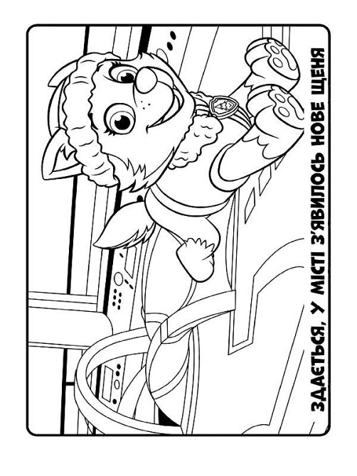 Книжка-розмальовка Щенячий патруль "Ловіть хвилю, цуценята" 228008 укр. мовою Вінниця - фото 2