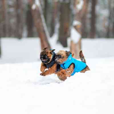 Курточка для животных Airy Vest двусторонняя XS 30 чёрно-голубая (1595) Винница