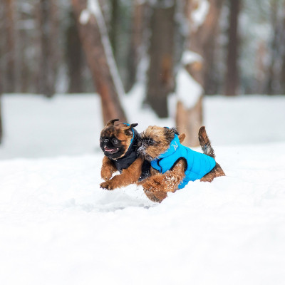 Курточка для животных Airy Vest двусторонняя XS 30 чёрно-голубая (1595) Винница - изображение 3