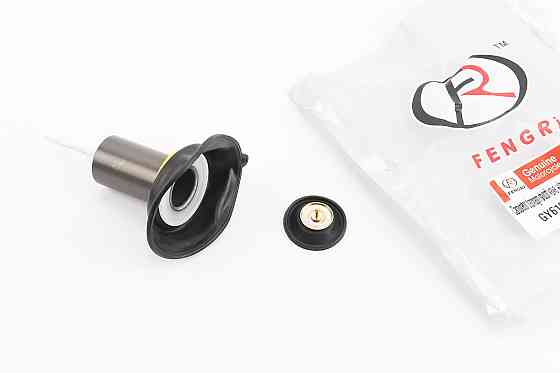 Мембрана карбюратора 24мм + прискорювальна к-кт 2шт, від 2шт -5% Київ