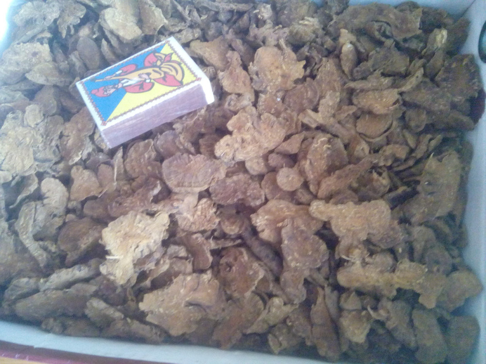 500г., Калган / Лапчатка прямостояча (корінь) якісний з Карпат Київ - фото 1