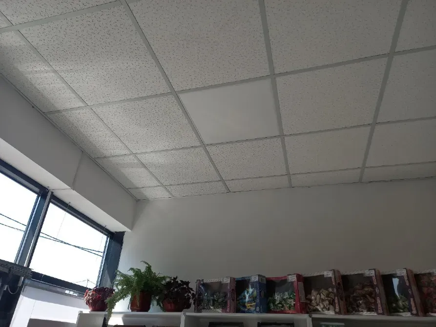 Приміщення на ринку Вода, каналізація, електрика 12 квт, 380 в. З ремонтом, заходь і працюй Дніпро - фото 4