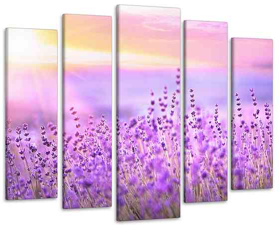 Модульна картина Полі Квітів Art-340_5 ( 80х118см ) Київ