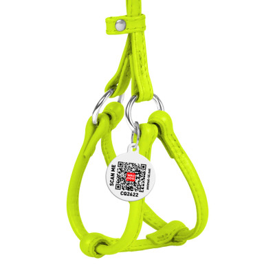 Шлей для собак WAUDOG Glamour с поводком круглая Д 6 мм А 42-60 см В 46-64 см салатовая (34025) Винница - изображение 2