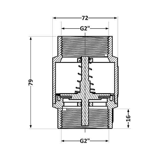 Обратный клапан Thermo Alliance Standart 2