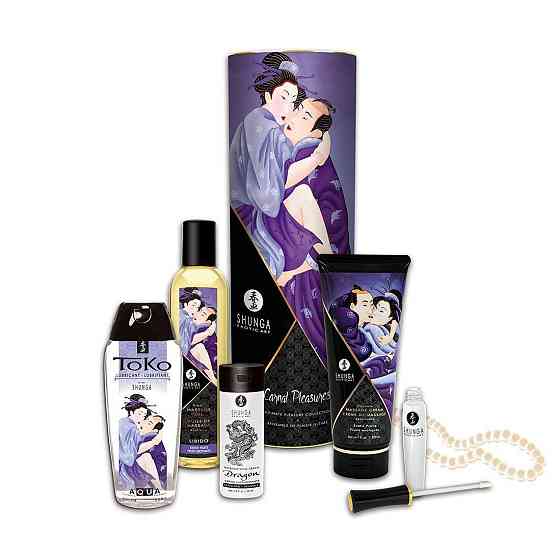 Подарочный набор Shunga CARNAL PLEASURES: 6 элементов страстной ночи Sex Aura Киев