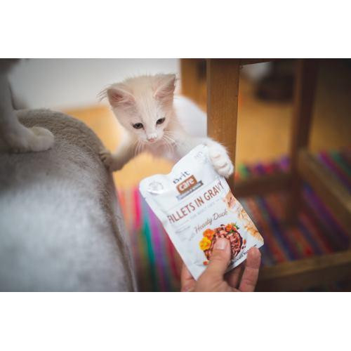 Влажный корм Brit Care Cat Pouch для кошек, филе в соусе, утка, 85 г Киев - изображение 3