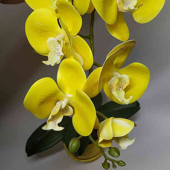 Штучна латексна орхідея VIP у жовтому керамічному кашпо на одну гілку жовта Дніпро