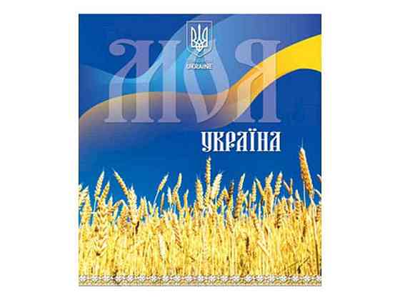 Зошит в клітинку 96арк. 8шт/уп арт.3629к Україна ТМ МРІЇ ЗБУВАЮТЬСЯ Київ