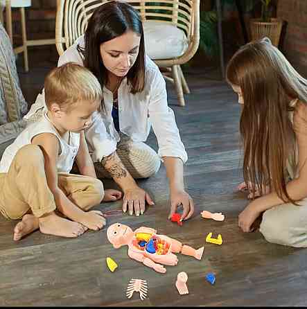 Модель анатомії тіла людини 3 D пазл навчальна іграшка для дітей 23 см різнокольоровий Київ