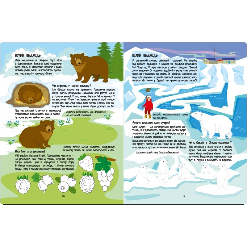 Развивающая тетрадь 