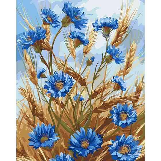 Картина за номерами "Волошки" 13127-AC 40х50 см Вінниця