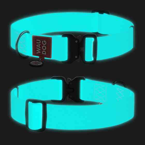 Нашийник для собак водостійкий WAUDOG Waterproof з QR-паспортом, світиться в темряві , металева пряжка-фастекс, XXL, Ш 40 мм, Д 46-70 см Київ