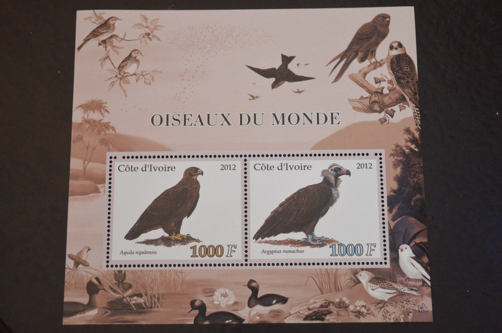 Кот-д'Івуар. Фауна. Блок. 2015 рік (В-6) Полтава - фото 1