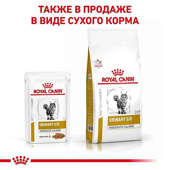 Royal Canin Urinary S/O Moderate Calorie (Роял Канін Уринарі СО) вологий корм для кішок для сечових шляхів 0.085 кг. х 12 шт. Запоріжжя