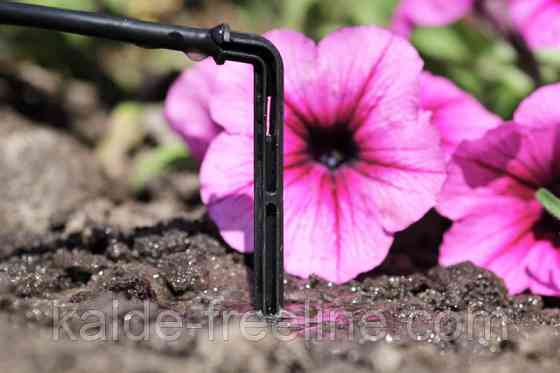 Крапельниця садова Presto-PS "Спиця" 2 л/год, в пакованні — 100 шт. (2102) Харків