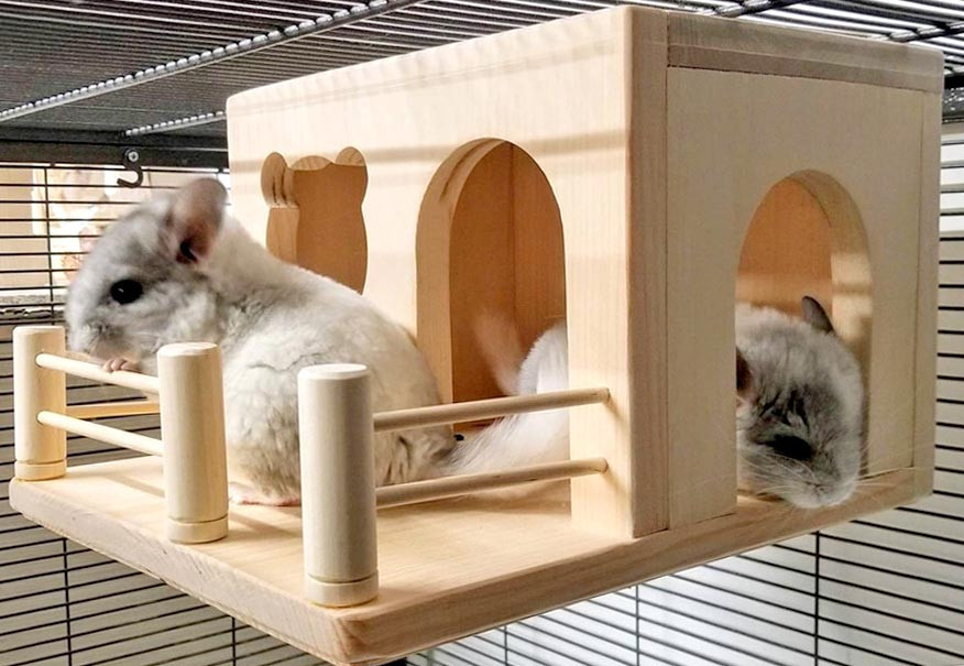 Домик для шиншиллы 