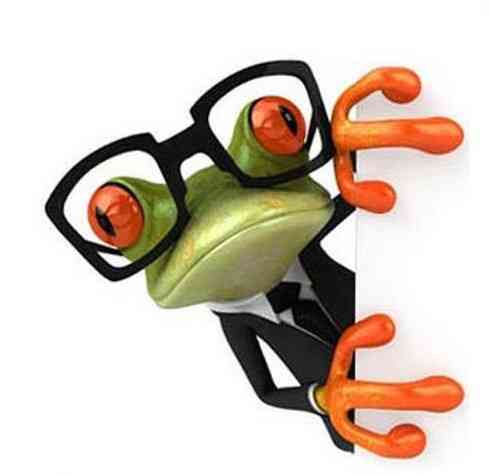 Наклейка Лягушка в очках для дома 18 на 17 см разноцветный Киев