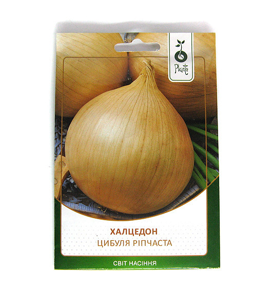 Насіння Цибуля ріпчаста Халцедон 10 г Київ - фото 1