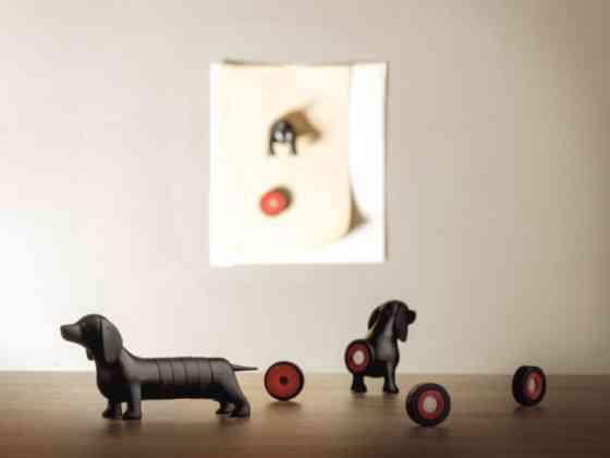 Набір магнітів Такса Brown Вінниця