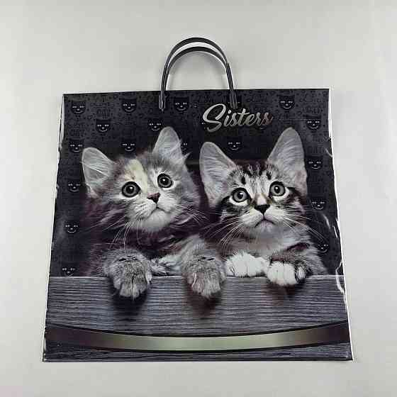 Пакет із пластиковою ручкою (36х37) "Систерс" (10 шт.) Харків