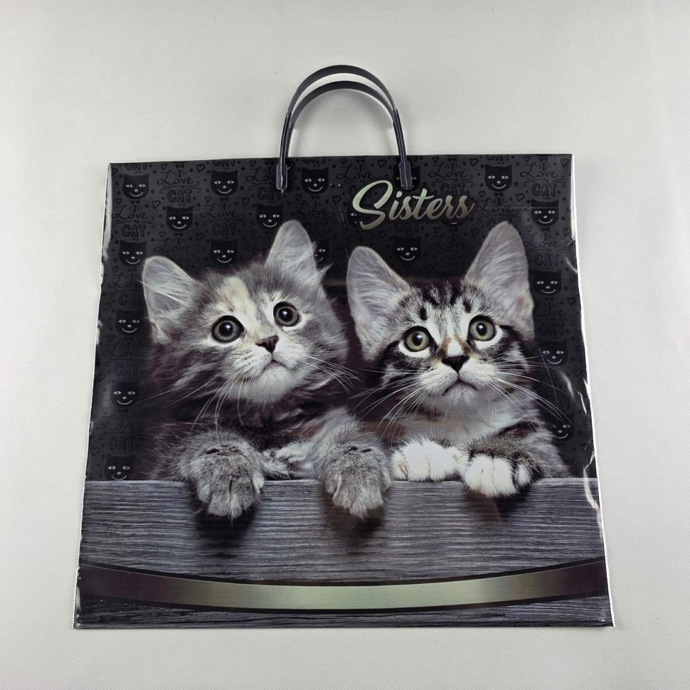 Пакет із пластиковою ручкою (36х37) "Систерс" (10 шт.) Харків - фото 5