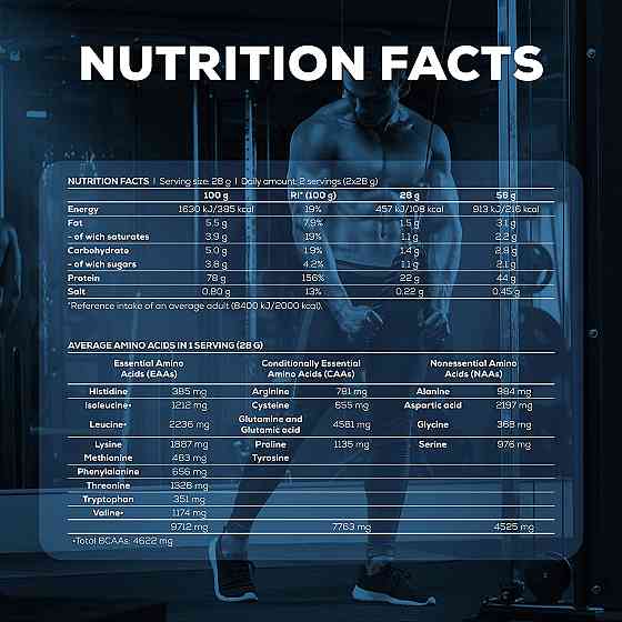 Протеїн 100% Pure Whey 454 g (Rice Pudding) Луцьк