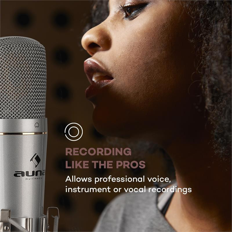 MIC-920 Набор USB-микрофонов Конденсаторный микрофон V5 Кронштейн для микрофона Защита от поп-музыки Защитный Ровно - изображение 2