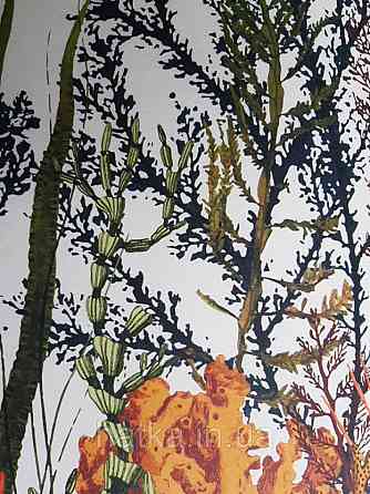 Обои виниловые  Lutece Bensimon панно 260х350 см панно море водный мир аквариум кораллы водоросли на белом Киев