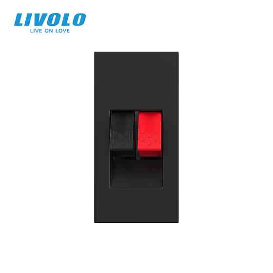 LIVOLO Hi-Fi аудіо розетка LIVOLO (Banana), чорна, для колонок і підсилювачів, модуль 0.5 поста Коломия