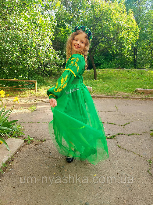 Детское вышитое платье с колосками Кривой Рог - изображение 10