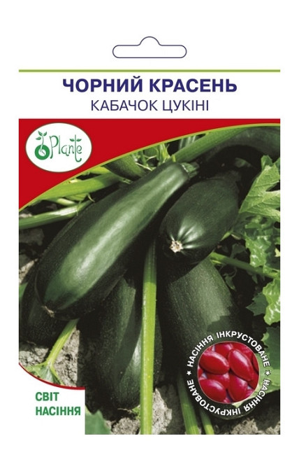 Насіння Кабачків Цукіні Чорний красень Київ - фото 1